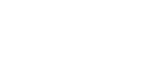 Verizon_SolidWordmark_wht_RGB